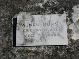 image of grave number 813391
